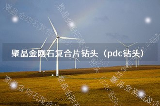 2025年聚晶金刚石复合片钻头（pdc钻头）发展前景 趋势预测(图1)