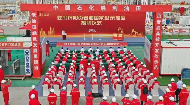 央企首批！“三桶油”四大工程入选(图4)