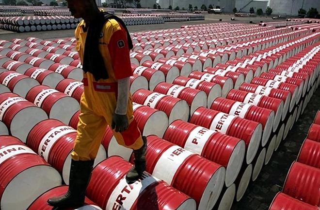 南海有巨量石油甚至越南都在“偷油”为何我国仍依赖进口石油(图22)