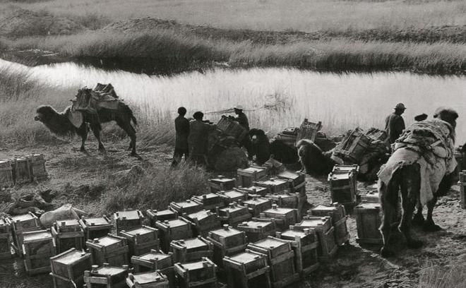 千万“磕头”机造福国人！寸草不生的克拉玛依地下全是石油资源(图2)