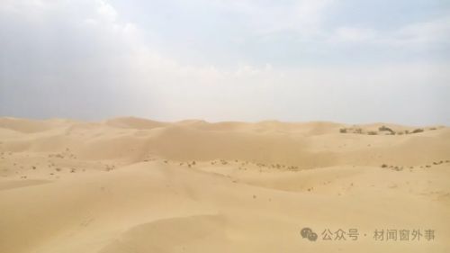 中国光伏治理沙漠(图4)