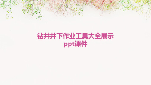 钻头钻柱及井口工具(图4)