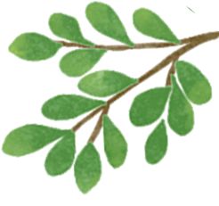 盛夏童心筑梦来看泰达娃娃行走的“大思政课”(图5)