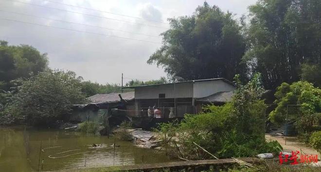 男子杀害女友及自己母亲后带上嫂子潜逃32年央视披露侦破细节 来听新闻(图3)