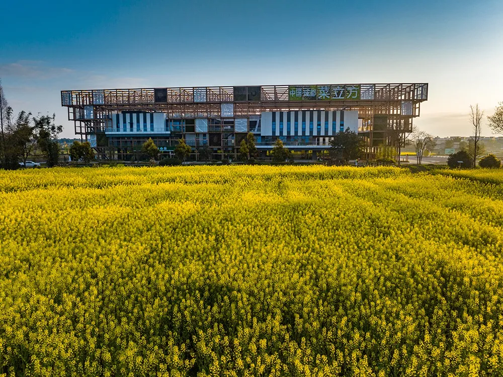 “立园满园”一周年彭州何以引领蓉北?(图6)