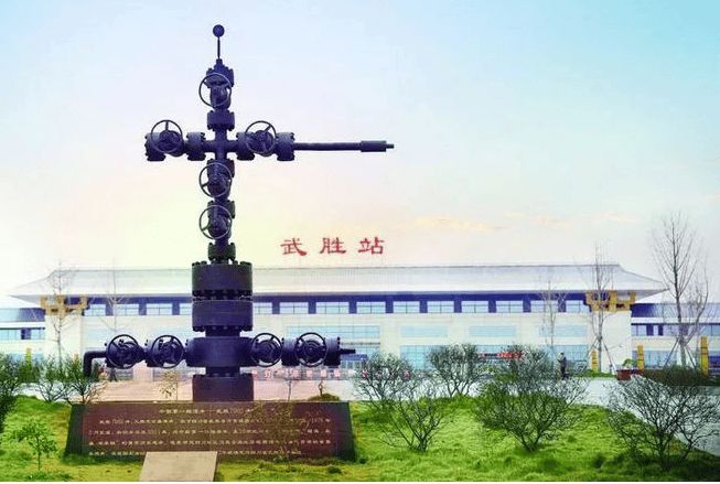 【人物】中国工程院院士张兴栋：跨越科研难关 只为“世界领先”(图2)