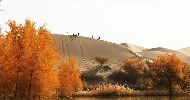 美专家：中国不可怕可怕的是中国塔里木盆地下藏着地下海洋(图7)