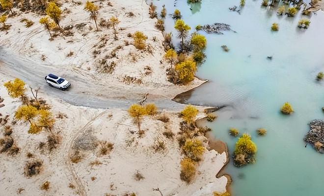 美专家：中国不可怕可怕的是中国塔里木盆地下藏着地下海洋(图4)