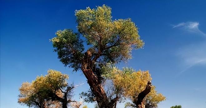 美专家：中国不可怕可怕的是中国塔里木盆地下藏着地下海洋(图6)