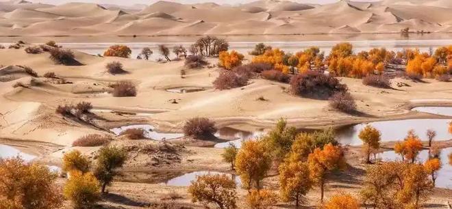 美专家：中国不可怕可怕的是中国塔里木盆地下藏着地下海洋(图12)