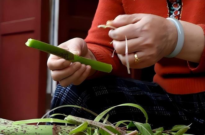 令国外痛苦的“入侵花”却在中国沦为咸菜吃到人工种植成笑谈(图20)