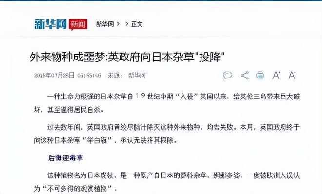 令国外痛苦的“入侵花”却在中国沦为咸菜吃到人工种植成笑谈(图28)